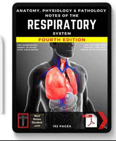 The Respiratory System