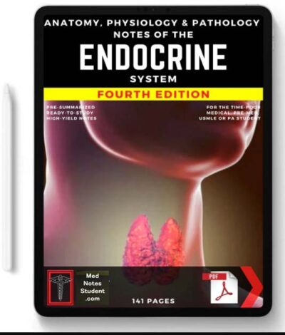 The Endocrine System