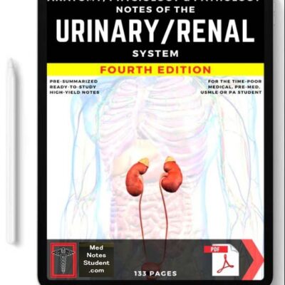 Urinary / Renal System