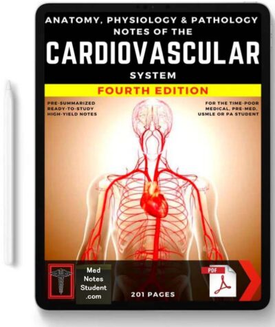 Cardiovascular Notes