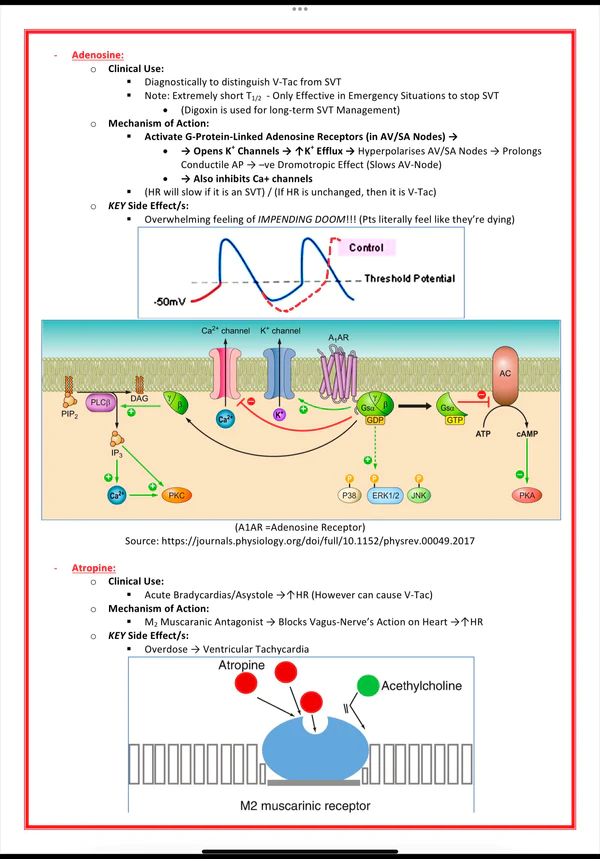 Pharmacology & Toxicology