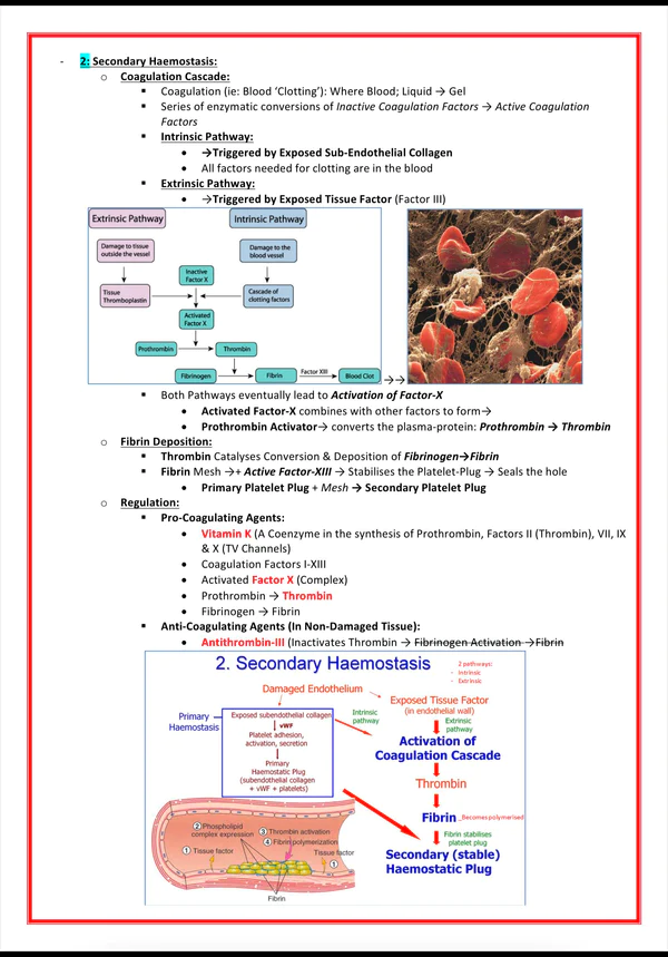 Pharmacology & Toxicology